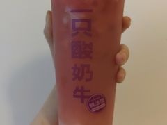 -一只酸奶牛(东方广场店)