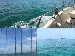 -小猫钓鱼海钓俱乐部(椰梦长廊店)