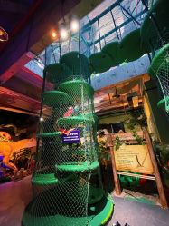 -恐龙探索乐园(磁器口店)