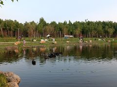 -长春市南湖公园