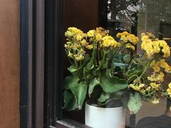 景观位-AFS Cafe & Canteen(闽江二路店)