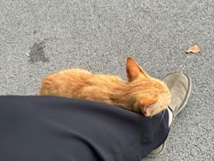 -渤公岛生态公园