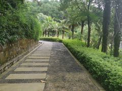 -铁山坪森林公园