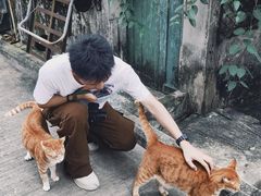 -大澳