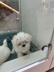 -木马王国(萧山银隆店)