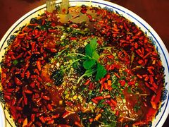 -杨记隆府(重庆总店)