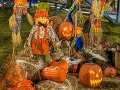 -巨鹏飞梦幻海岸