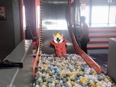 -嗨翻Hi-Fun竞技主题乐园·蹦床亲子生日轰趴(国光1937店)