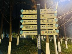 -南京眼步行桥