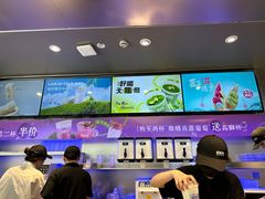 -TD66高山铁皮石斛养生茶饮