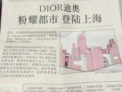 -Dior迪奥(上海世茂广场店)