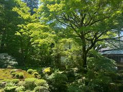 -三千院