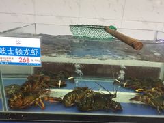 -欢乐海岸美食联盟