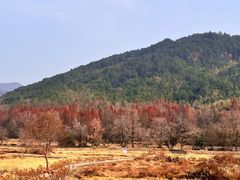 -塔川景区