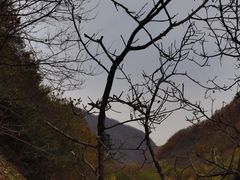 -秦岭风景区