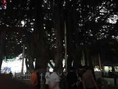 -北部湾广场