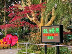 -华山儿童公园