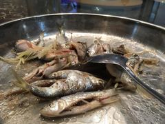 -小北江河鲜(新城店)