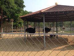 iphone_upload_pic-意大利农场度假村