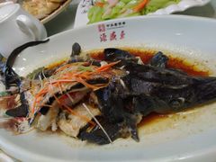 清蒸鲟鱼-三棵饭店