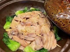 -南美元生态大酒店(海珠店)