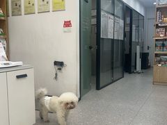 -四月宠物医院·猫专科·心脏专科·内科(转塘店)