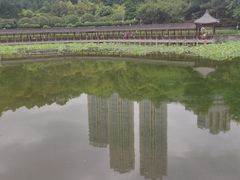 -龙头寺公园