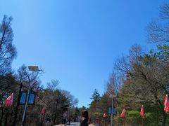 -帽儿山国家森林公园