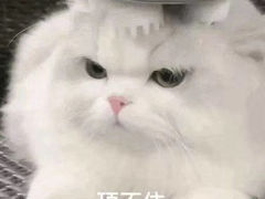 -麦当劳(赣州火车站店1093)