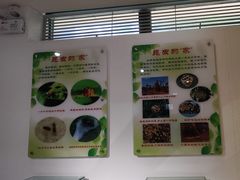 -上海昆虫博物馆