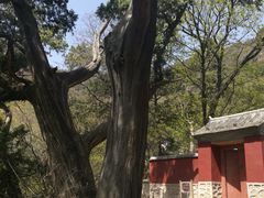 -北京上方山国家森林公园