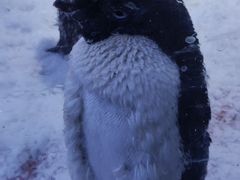 -上海海昌海洋公园