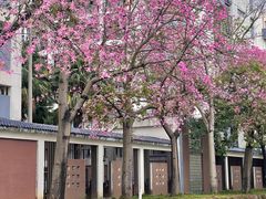 -福州大学(旗山校区)