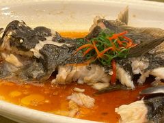 -金美华轩(东方路齐鲁店)