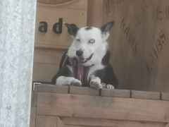 -可伦宾野生动物保护区