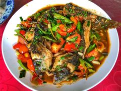 -生态苑农庄(十里画廊遇龙河店)