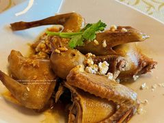 -百利鸽王(紫薇路店)