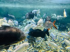 -成都浩海立方海洋公园