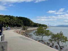-深圳湾公园(南山区)