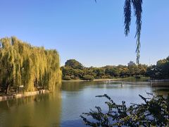 -钓鱼台国宾馆