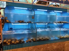 -现代华天大酒店海鲜自助餐(芙蓉南路店)