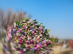 -祥源·阜阳生态乐园