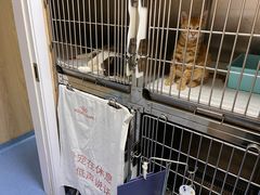 -恒幸动物医院·急重症转诊中心·神经内外科·CT核磁