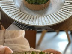 -猫里有甜