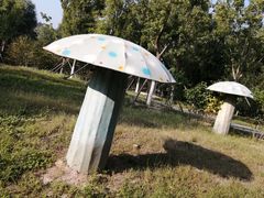 -永定河休闲森林公园