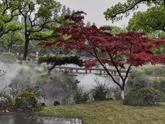 -杭州西湖柳莺里酒店·闻莺厅