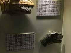 -世界恐龙谷景区