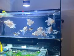 -后院犇牛主题餐厅(云岗店)