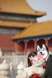 -CD视觉婚纱摄影
