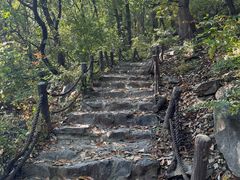 -阳台山自然风景区